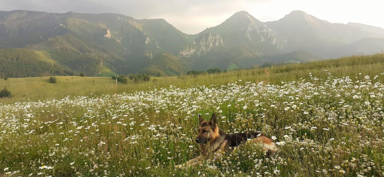 Apartman Astra V Zdiari Exteriér fotografie